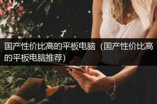 国产性价比高的平板电脑（国产性价比高的平板电脑推荐）