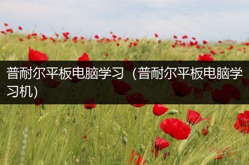 普耐尔平板电脑学习（普耐尔平板电脑学习机）