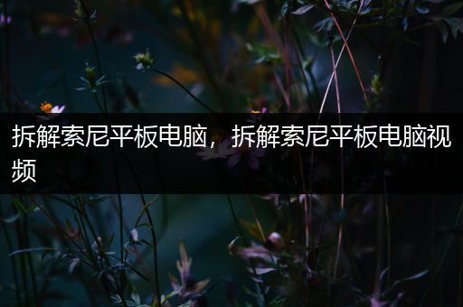 拆解索尼平板电脑，拆解索尼平板电脑视频