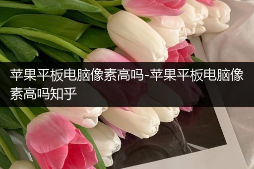 苹果平板电脑像素高吗-苹果平板电脑像素高吗知乎