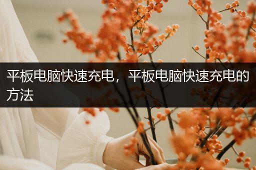 平板电脑快速充电，平板电脑快速充电的方法