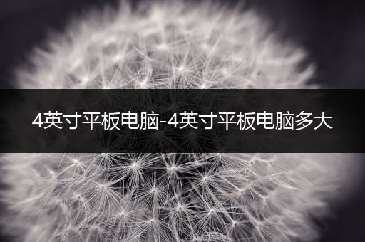 4英寸平板电脑-4英寸平板电脑多大