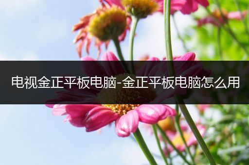 电视金正平板电脑-金正平板电脑怎么用