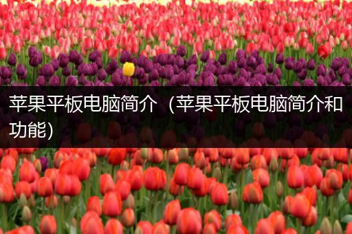 苹果平板电脑简介（苹果平板电脑简介和功能）
