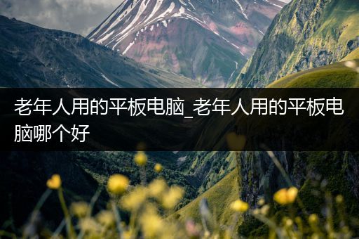 老年人用的平板电脑_老年人用的平板电脑哪个好