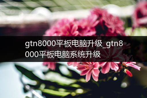 gtn8000平板电脑升级_gtn8000平板电脑系统升级