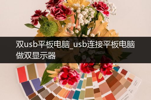 双usb平板电脑_usb连接平板电脑做双显示器