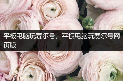平板电脑玩赛尔号，平板电脑玩赛尔号网页版