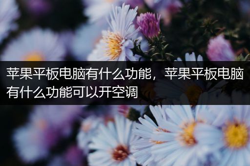 苹果平板电脑有什么功能，苹果平板电脑有什么功能可以开空调