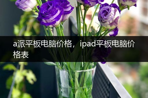 a派平板电脑价格，ipad平板电脑价格表