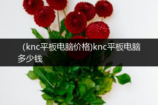（knc平板电脑价格)knc平板电脑多少钱