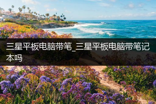 三星平板电脑带笔_三星平板电脑带笔记本吗