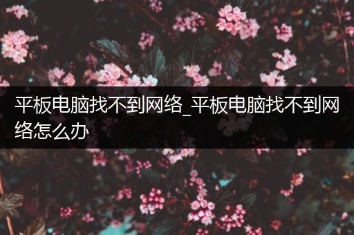 平板电脑找不到网络_平板电脑找不到网络怎么办