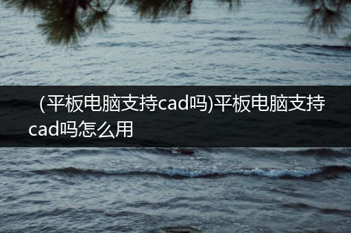 （平板电脑支持cad吗)平板电脑支持cad吗怎么用