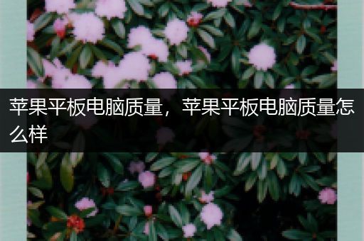 苹果平板电脑质量，苹果平板电脑质量怎么样