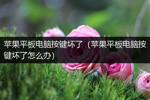 苹果平板电脑按键坏了（苹果平板电脑按键坏了怎么办）