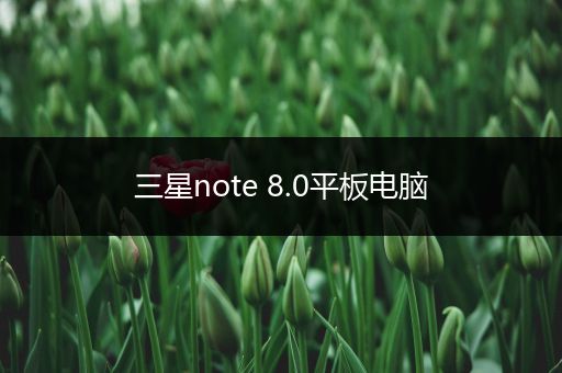 三星note 8.0平板电脑