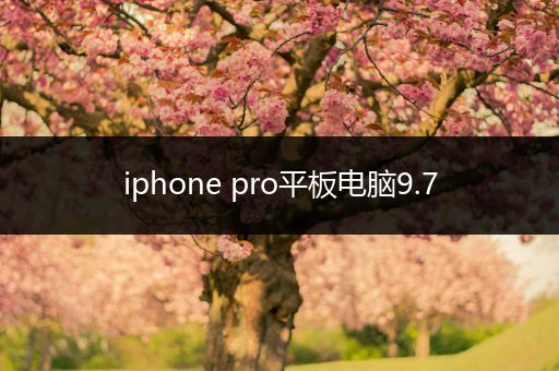 iphone pro平板电脑9.7