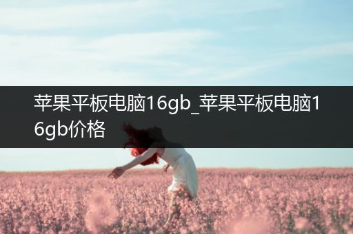 苹果平板电脑16gb_苹果平板电脑16gb价格