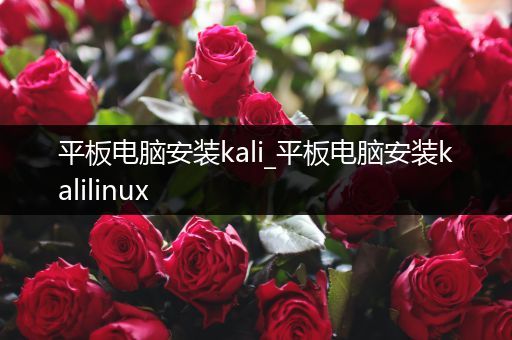 平板电脑安装kali_平板电脑安装kalilinux