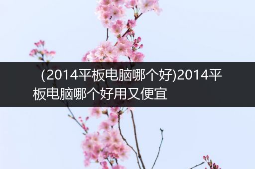 （2014平板电脑哪个好)2014平板电脑哪个好用又便宜