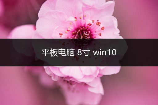 平板电脑 8寸 win10