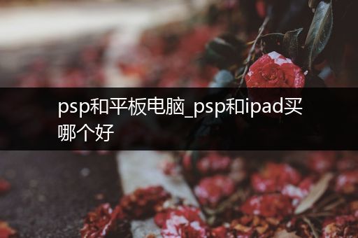 psp和平板电脑_psp和ipad买哪个好