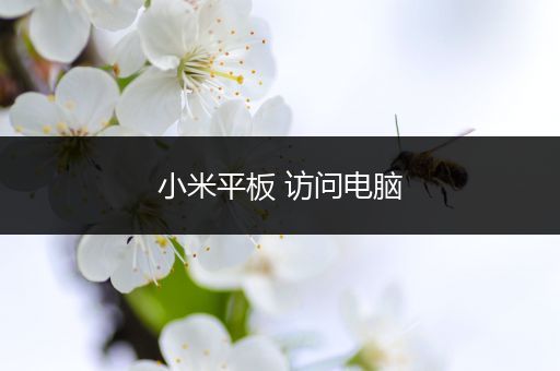 小米平板 访问电脑