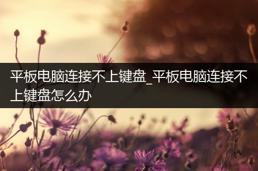 平板电脑连接不上键盘_平板电脑连接不上键盘怎么办