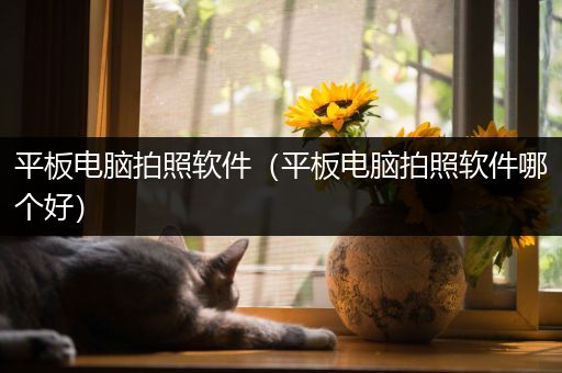 平板电脑拍照软件（平板电脑拍照软件哪个好）