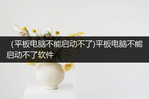 （平板电脑不能启动不了)平板电脑不能启动不了软件