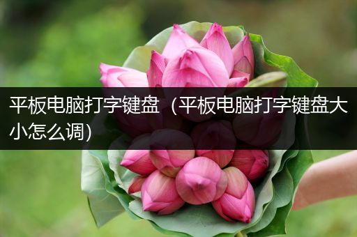平板电脑打字键盘（平板电脑打字键盘大小怎么调）
