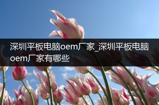 深圳平板电脑oem厂家_深圳平板电脑oem厂家有哪些