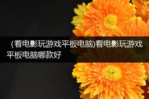 （看电影玩游戏平板电脑)看电影玩游戏平板电脑哪款好