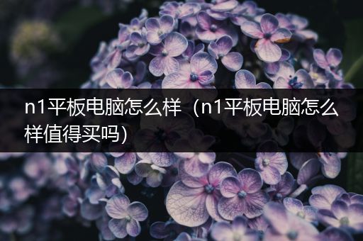 n1平板电脑怎么样（n1平板电脑怎么样值得买吗）