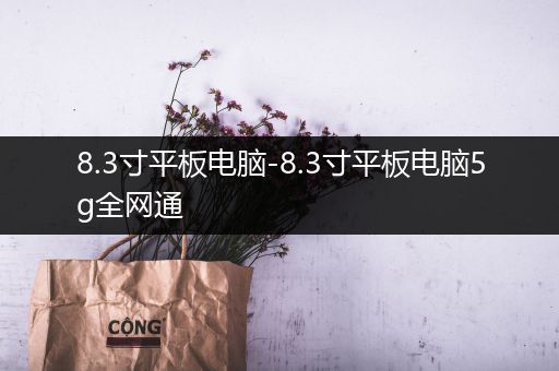 8.3寸平板电脑-8.3寸平板电脑5g全网通
