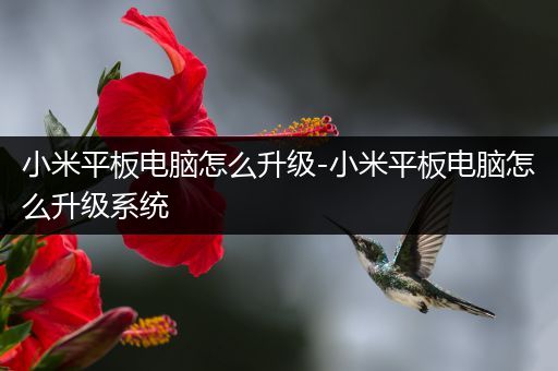 小米平板电脑怎么升级-小米平板电脑怎么升级系统