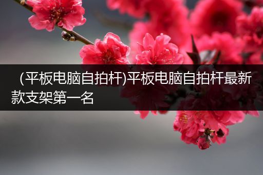 （平板电脑自拍杆)平板电脑自拍杆最新款支架第一名