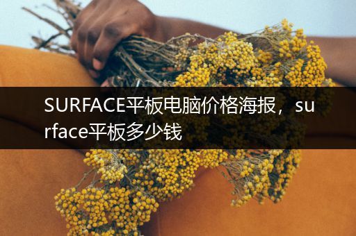 SURFACE平板电脑价格海报，surface平板多少钱