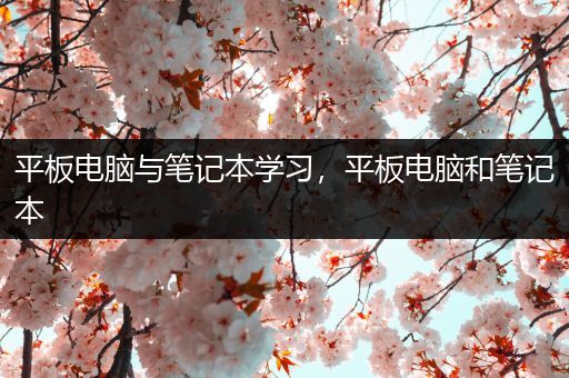 平板电脑与笔记本学习，平板电脑和笔记本