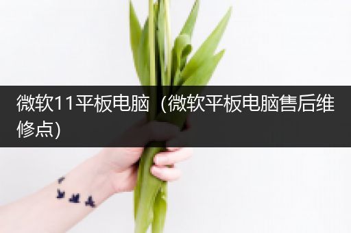 微软11平板电脑（微软平板电脑售后维修点）