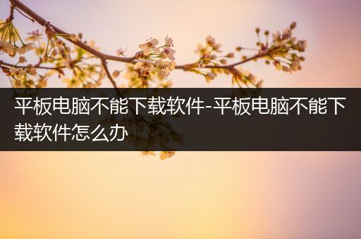 平板电脑不能下载软件-平板电脑不能下载软件怎么办