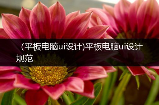 （平板电脑ui设计)平板电脑ui设计规范