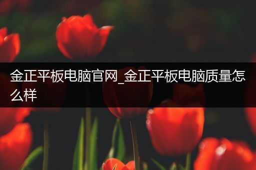 金正平板电脑官网_金正平板电脑质量怎么样