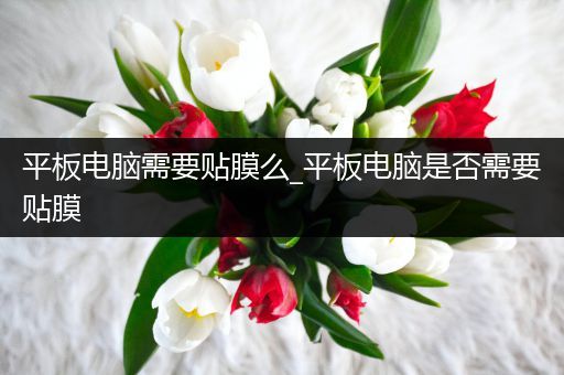 平板电脑需要贴膜么_平板电脑是否需要贴膜