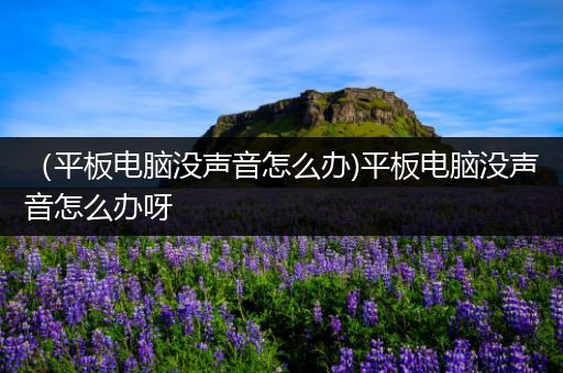 （平板电脑没声音怎么办)平板电脑没声音怎么办呀