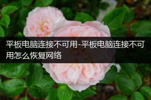 平板电脑连接不可用-平板电脑连接不可用怎么恢复网络