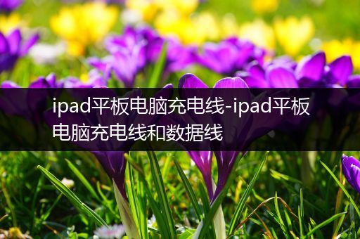 ipad平板电脑充电线-ipad平板电脑充电线和数据线