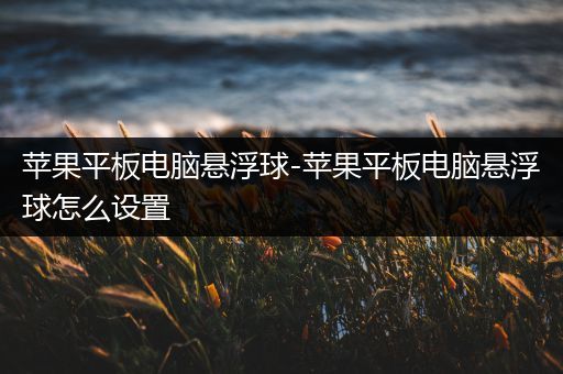 苹果平板电脑悬浮球-苹果平板电脑悬浮球怎么设置