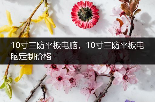 10寸三防平板电脑，10寸三防平板电脑定制价格